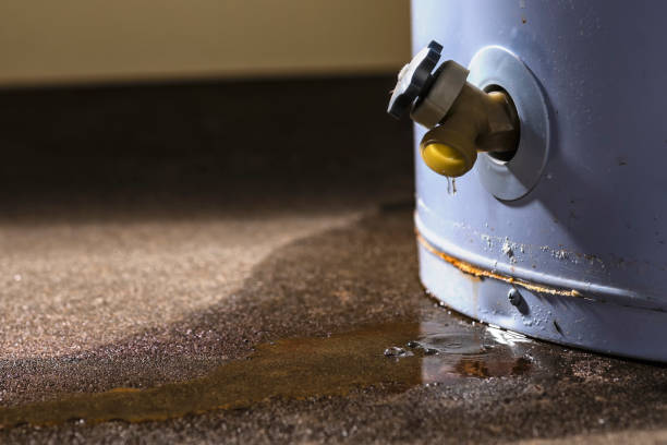 Best Carpet water damage restoration  in Caldwell, NJ