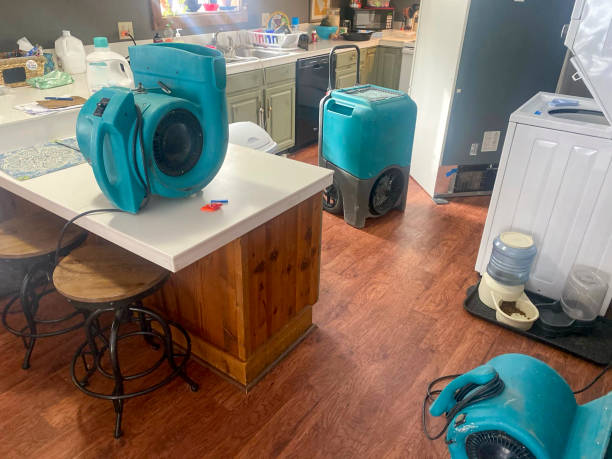 Best Flood damage cleanup  in Caldwell, NJ