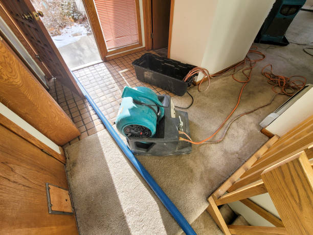 Best Water damage cleanup near me  in Caldwell, NJ