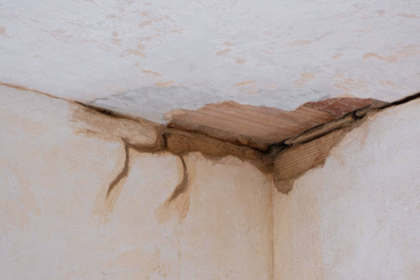 Best 24/7 water damage repair  in Caldwell, NJ