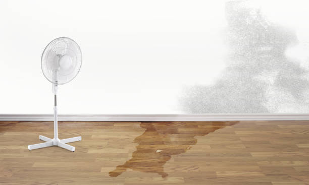 Best Ceiling water damage repair  in Caldwell, NJ