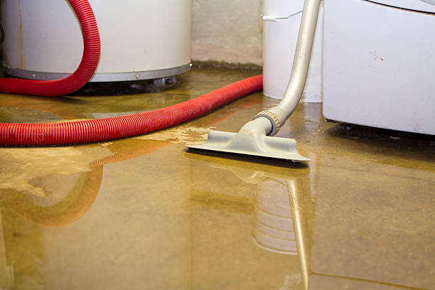 Best Commercial water damage restoration  in Caldwell, NJ