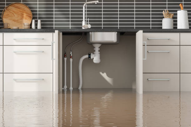 Best Flood restoration services  in Caldwell, NJ